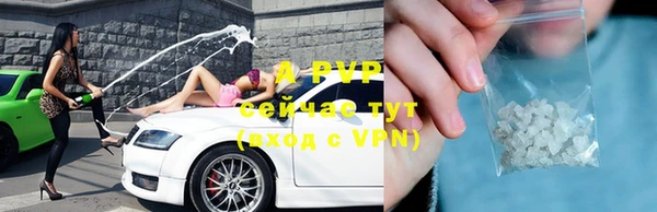 индика Балахна