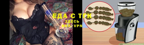 индика Балахна
