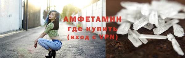 твердый Гусев