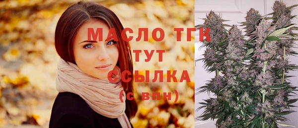 индика Балахна
