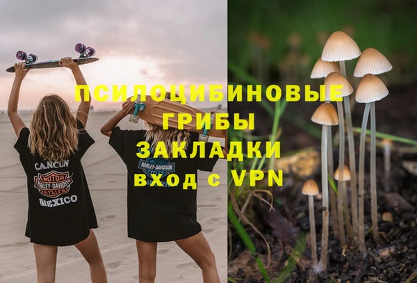 ГАЛЛЮЦИНОГЕННЫЕ ГРИБЫ Балабаново