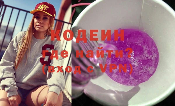 индика Балахна