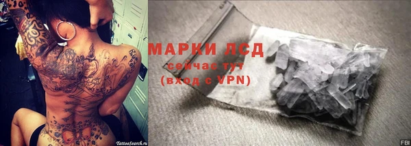 индика Балахна