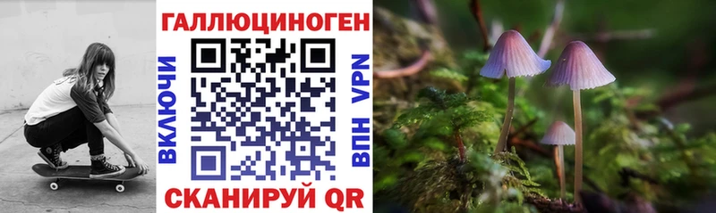 Галлюциногенные грибы Psilocybine cubensis  Лыткарино 