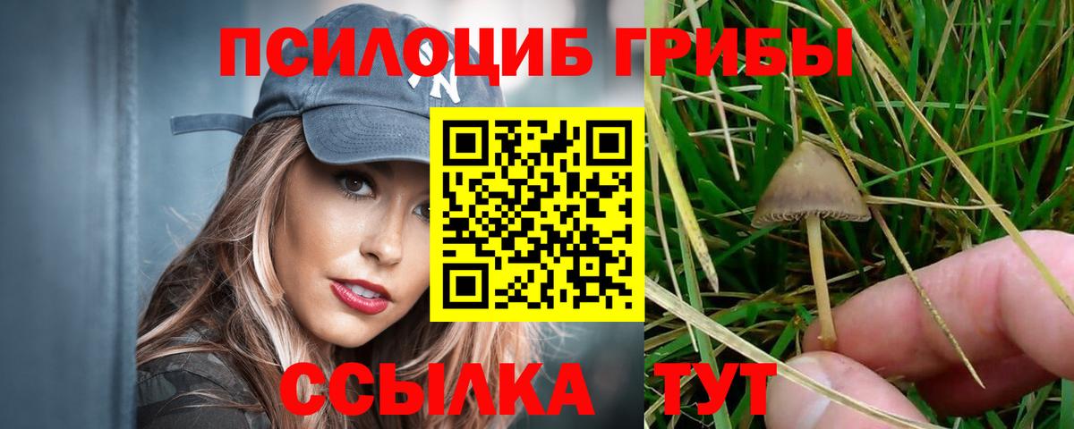 Псилоцибиновые грибы мицелий  Вход с VPN  Галлюциногенные грибы Cubensis  Лыткарино 