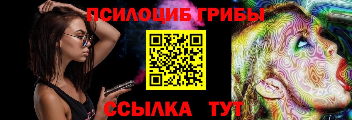 Галлюциногенные грибы Psilocybine cubensis Лыткарино